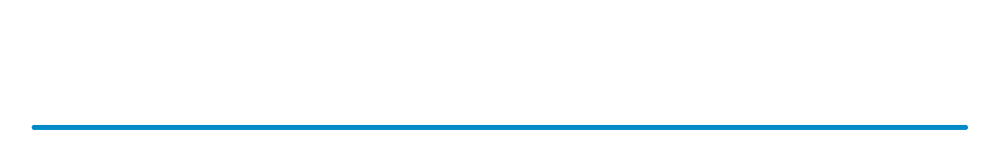 Glen Shelly Auto logo